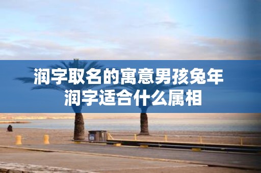 润字取名的寓意男孩蛇年 润字适合什么属相