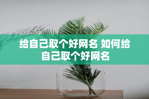 给自己取个好网名 如何给自己取个好网名
