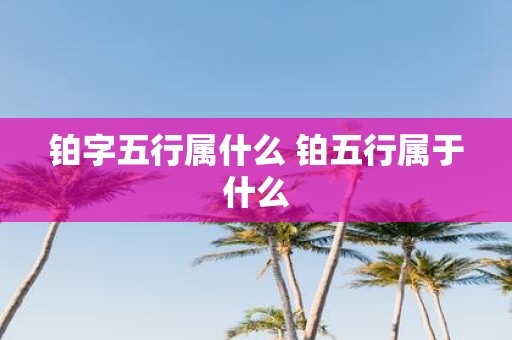 铂字五行属什么 铂五行属于什么