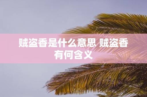 贼盗香是什么意思 贼盗香有何含义