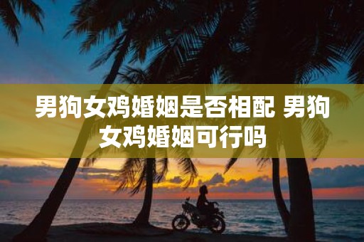 男狗女鸡婚姻是否相配 男狗女鸡婚姻可行吗