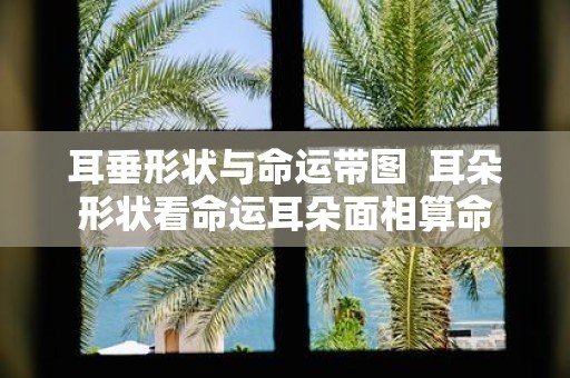 耳垂形状与命运带图 耳朵形状看命运耳朵面相算命