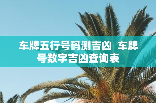 车牌五行号码测吉凶 车牌号数字吉凶查询表