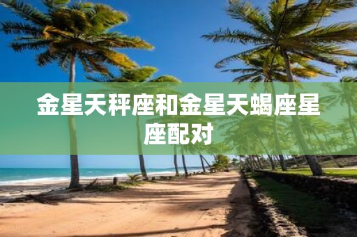 金星天秤座和金星天蝎座星座配对