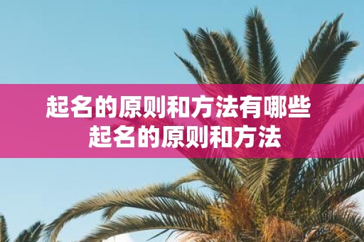 起名的原则和方法有哪些 起名的原则和方法