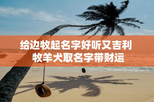 给边牧起名字好听又吉利 牧羊犬取名字带财运
