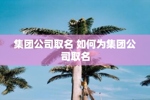 集团公司取名 如何为集团公司取名
