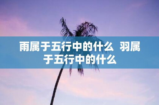 雨属于五行中的什么 羽属于五行中的什么