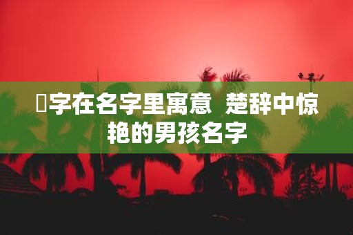 珹字在名字里寓意 楚辞中惊艳的男孩名字