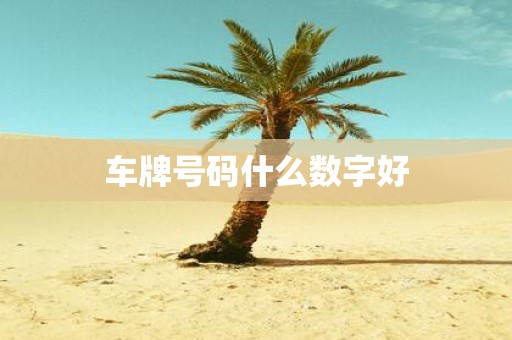 车牌号码什么数字好