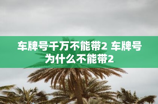车牌号千万不能带2 车牌号为什么不能带2