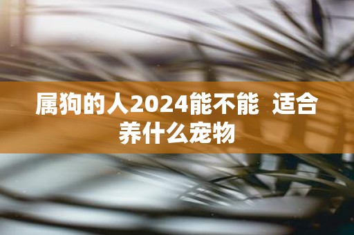 属狗的人2025能不能 适合养什么宠物