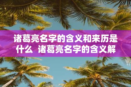 诸葛亮名字的含义和来历是什么 诸葛亮名字的含义解释和来历