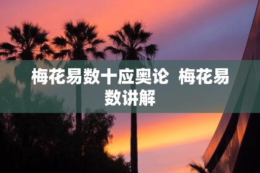 梅花易数十应奥论 梅花易数讲解