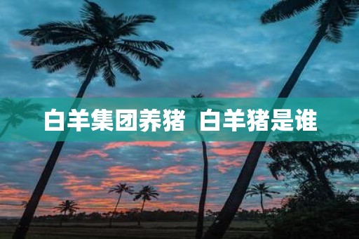 白羊集团养猪 白羊猪是谁