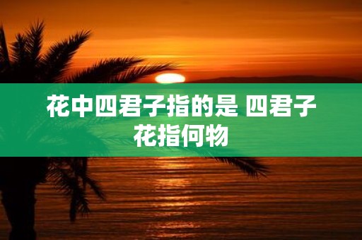 花中四君子指的是 四君子花指何物