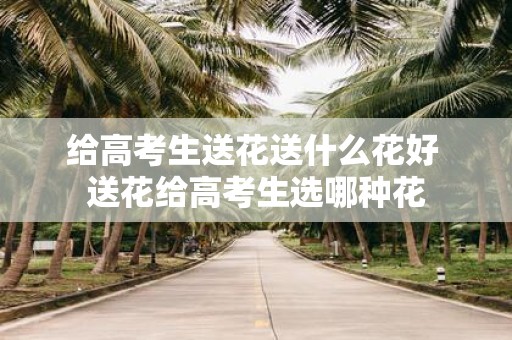 给高考生送花送什么花好 送花给高考生选哪种花