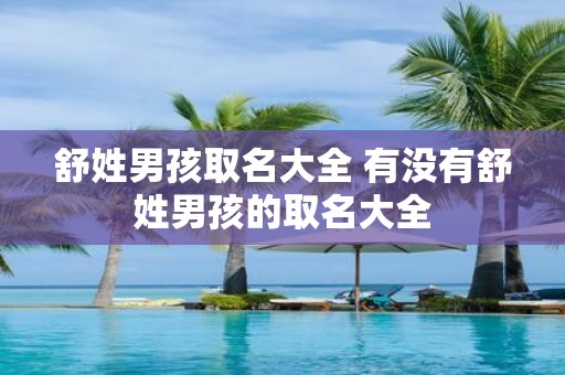 舒姓男孩取名大全 有没有舒姓男孩的取名大全