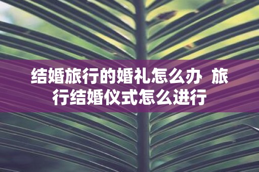 结婚旅行的婚礼怎么办 旅行结婚仪式怎么进行