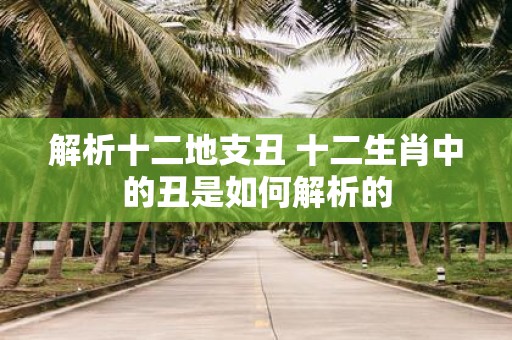 解析十二地支丑 十二生肖中的丑是如何解析的