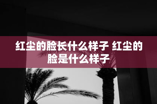 红尘的脸长什么样子 红尘的脸是什么样子