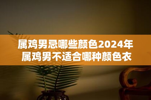 属鸡男忌哪些颜色2025年 属鸡男不适合哪种颜色衣服
