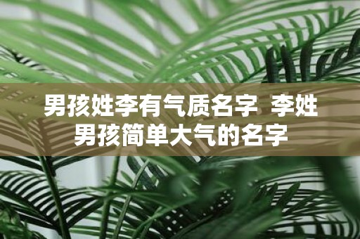男孩姓李有气质名字 李姓男孩简单大气的名字