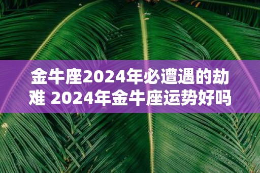 金牛座2025年必遭遇的劫难 2025年金牛座运势好吗