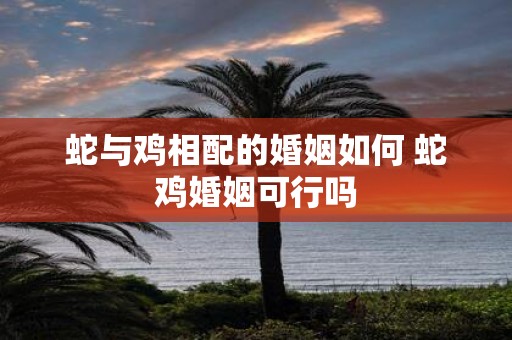 蛇与鸡相配的婚姻如何 蛇鸡婚姻可行吗