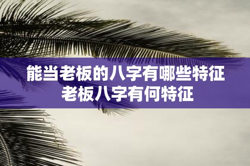 能当老板的八字有哪些特征 老板八字有何特征