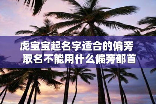 虎宝宝起名字适合的偏旁 取名不能用什么偏旁部首