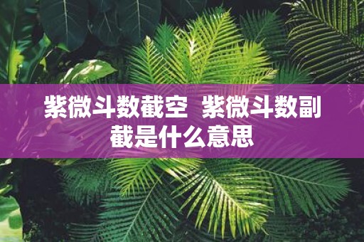 紫微斗数截空 紫微斗数副截是什么意思