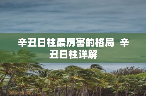 辛丑日柱最厉害的格局 辛丑日柱详解