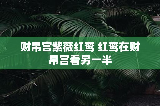 财帛宫紫薇红鸾 红鸾在财帛宫看另一半