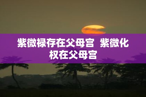 紫微禄存在父母宫 紫微化权在父母宫