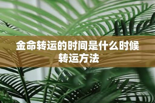 金命转运的时间是什么时候 转运方法