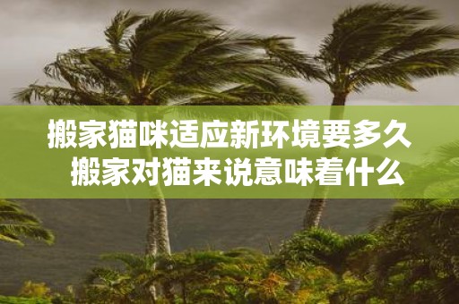 搬家猫咪适应新环境要多久 搬家对猫来说意味着什么