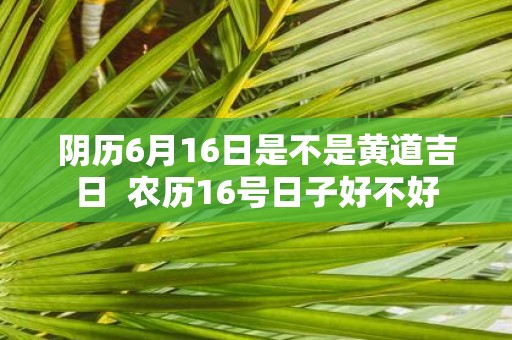 阴历6月16日是不是黄道吉日 农历16号日子好不好