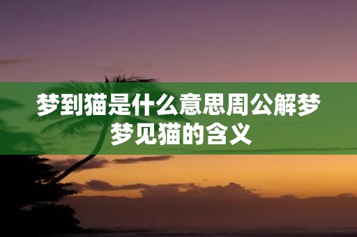 梦到猫是什么意思周公解梦 梦见猫的含义