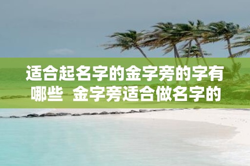 适合起名字的金字旁的字有哪些 金字旁适合做名字的字有哪些