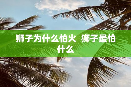 狮子为什么怕火 狮子最怕什么