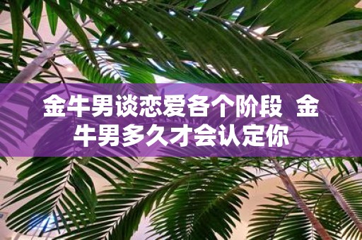 金牛男谈恋爱各个阶段 金牛男多久才会认定你