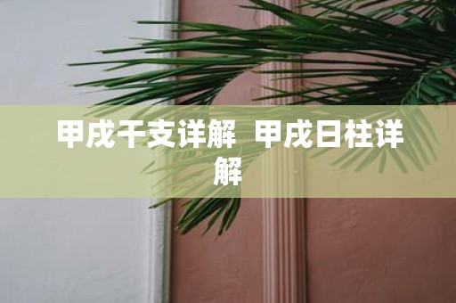 甲戌干支详解 甲戌日柱详解