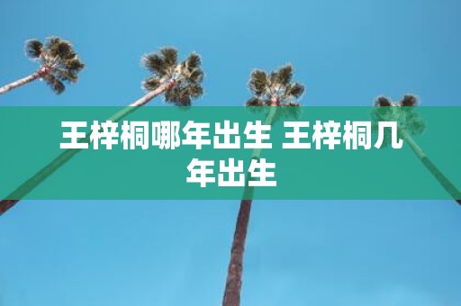 王梓桐哪年出生 王梓桐几年出生