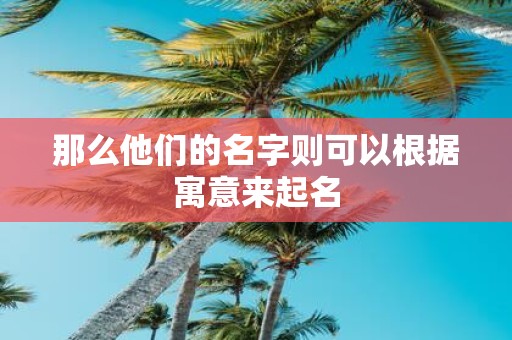 那么他们的名字则可以根据寓意来起名