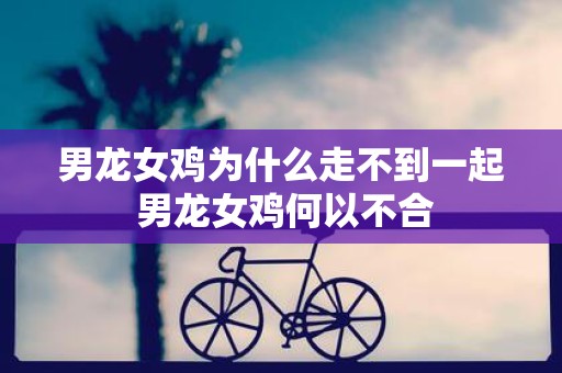 男龙女鸡为什么走不到一起 男龙女鸡何以不合