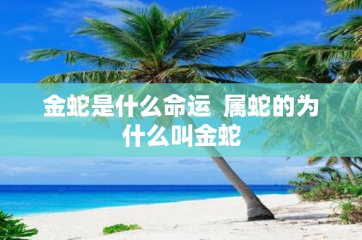 金蛇是什么命运 属蛇的为什么叫金蛇