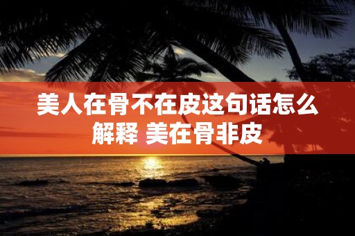 美人在骨不在皮这句话怎么解释 美在骨非皮