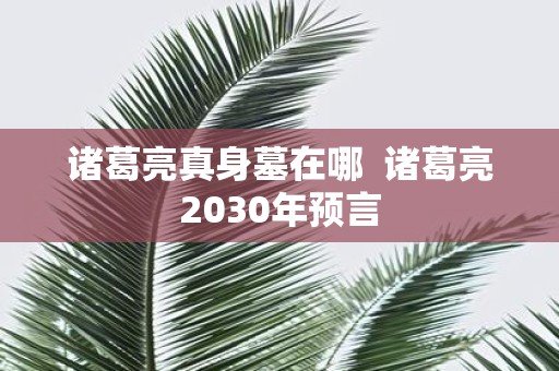 诸葛亮真身墓在哪 诸葛亮2030年预言