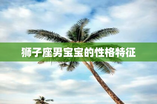 狮子座男宝宝的性格特征